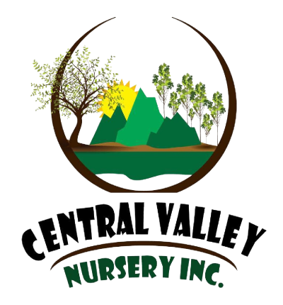 central valley nursery inc in california
