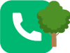 tree nursery from strathmore to california retail stores