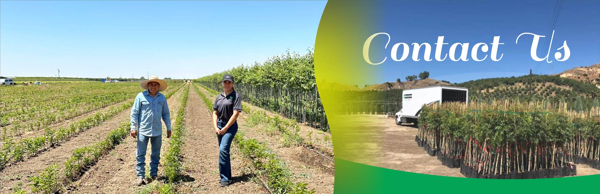 contact-Central-Valley-Nursery bare roots wholesale trees california